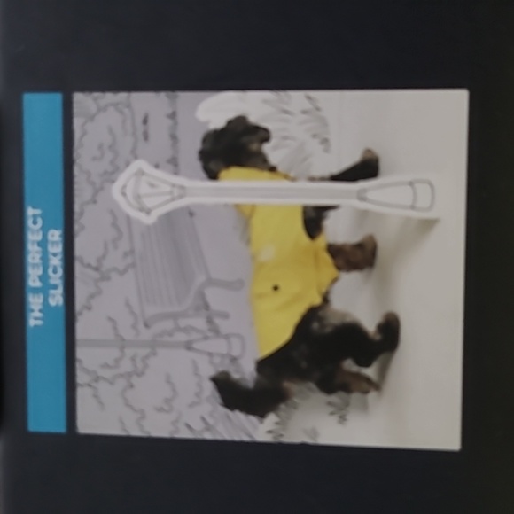 🐾Dog Rain Slicker - Picture 4 of 14